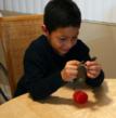 A student plays with the center of gravity with the RAFT Gravity Defying Frog Activity Kit